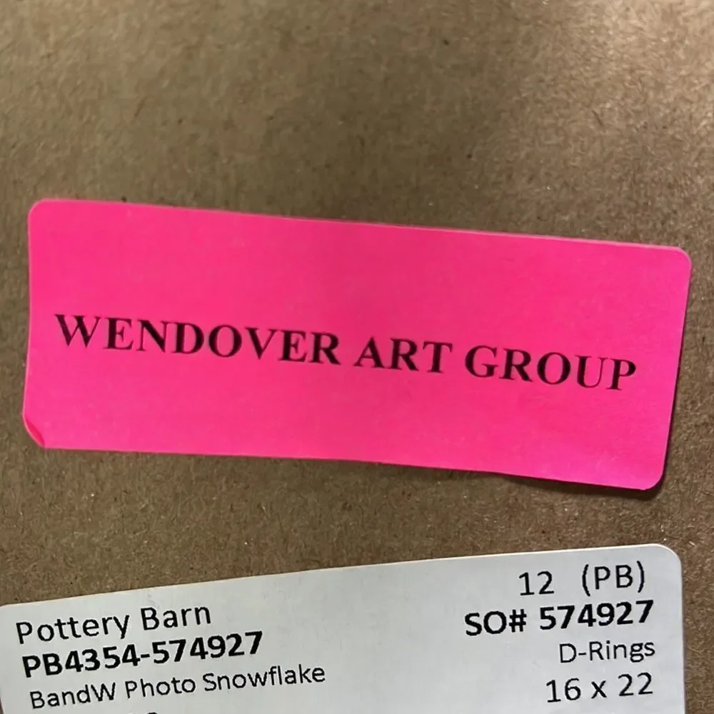 Pottery Barn Wendover Art Group Framed Snowflake Photo